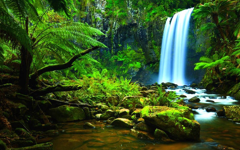 Amazon-Rainforest-Waterfalls