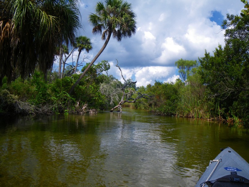 Juniper Run, Ocala National Forest, Florida