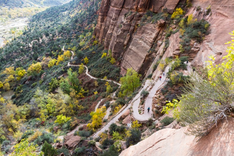 switchback trail in the Angels Landing hike at Zion National Park with autumn colors