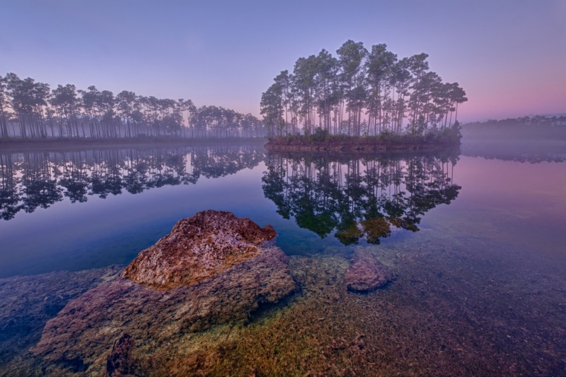Dawn at Long Pine Key Lake in Everglades National Park near Homestead, Florida
