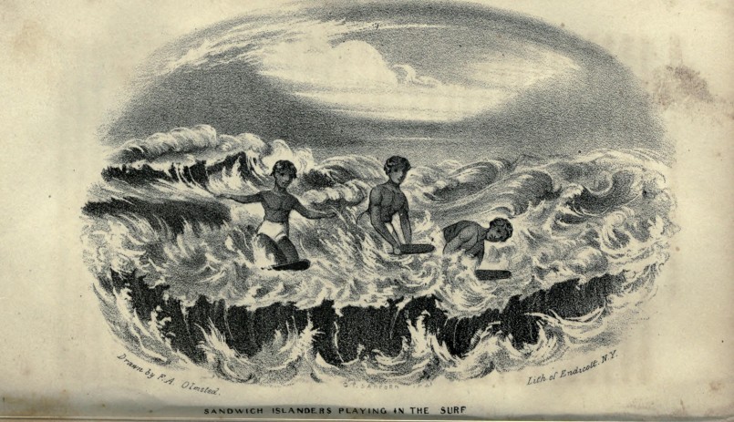 sandwhich islanders surfing
