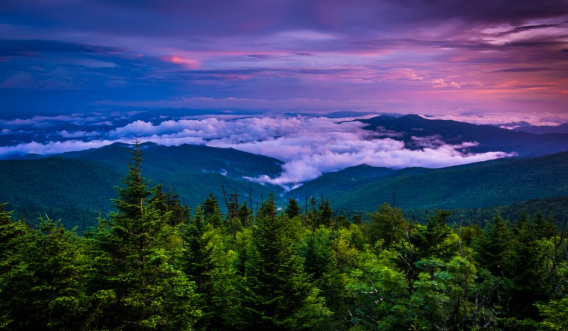 Low clouds in the valley at sunset, seen from Clingman's Dome, Great Smoky Mountains National Park, Tennessee.