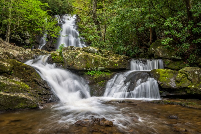 Summer foliage at Spruce Flats Falls in the Great Smoky Mountain National Park