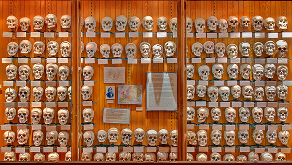Image: Mutter Museum