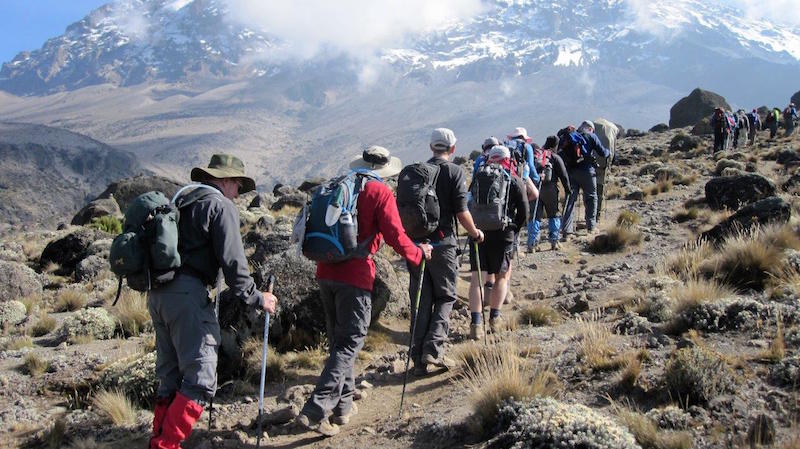 hikers backpacking in line up mt kilimanjaro in africa in cold weather snowy mountain
