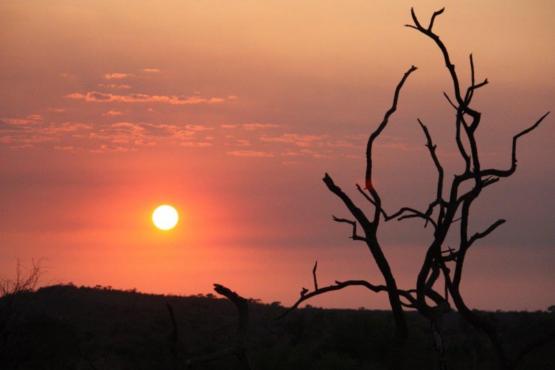 african safari mosetlha bush camp sunset 