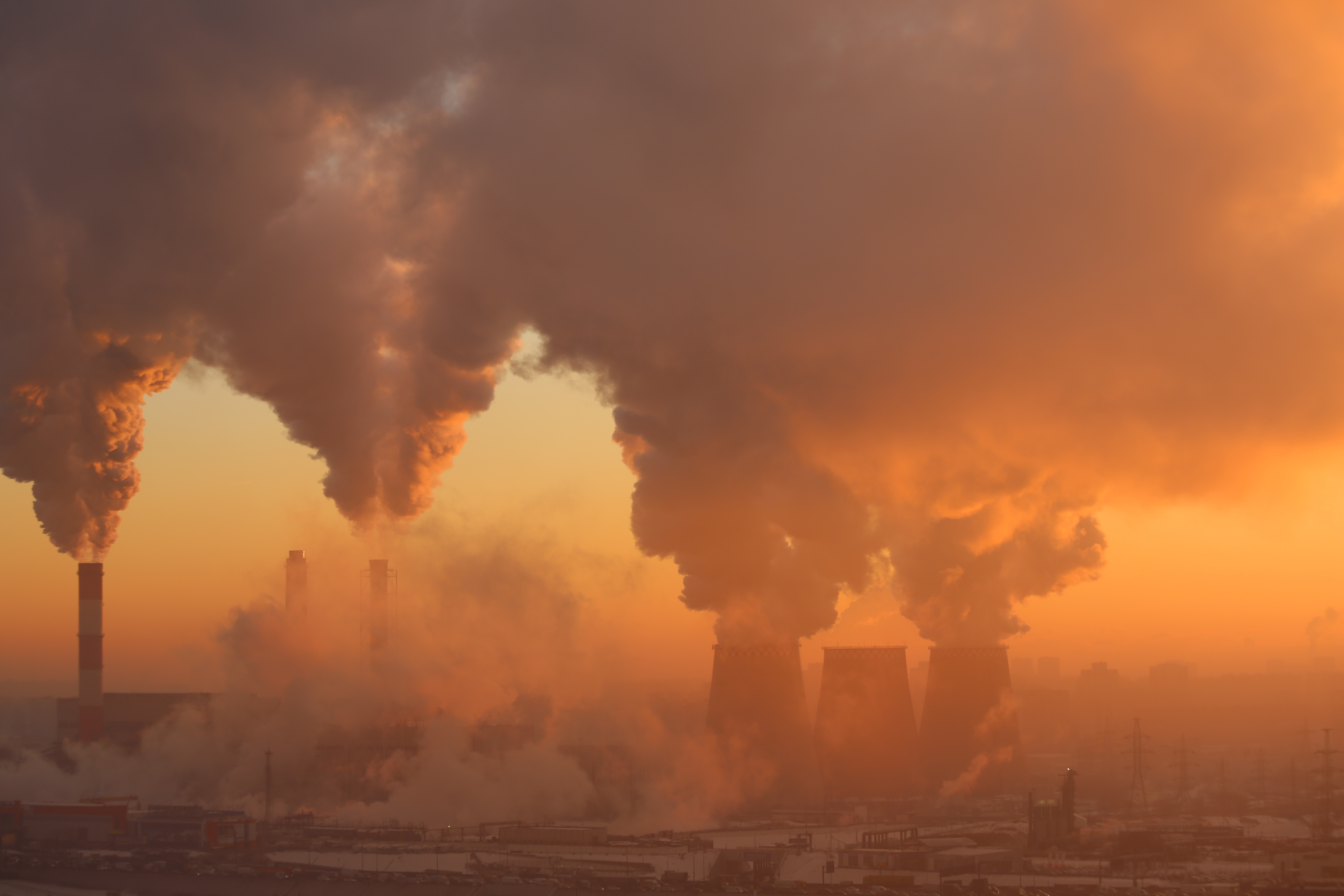 Planet Roundup Rescued Animals Polluted Air And More